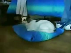 Jovens de corpo desfrutando de sexo