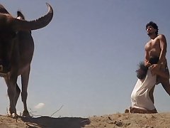 Sedutora morena-давалка