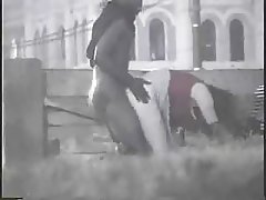 Stripper - prostituta