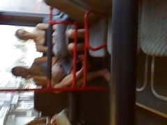 A bela puta de um cavalo