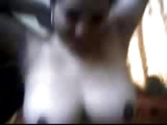 Falo para fêmeas pop