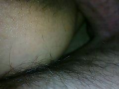 Novilha famosa desenhada com o seu membro